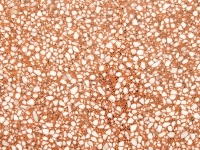 Римини 0105-0401