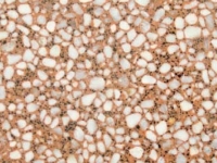 Римини 0105-0501